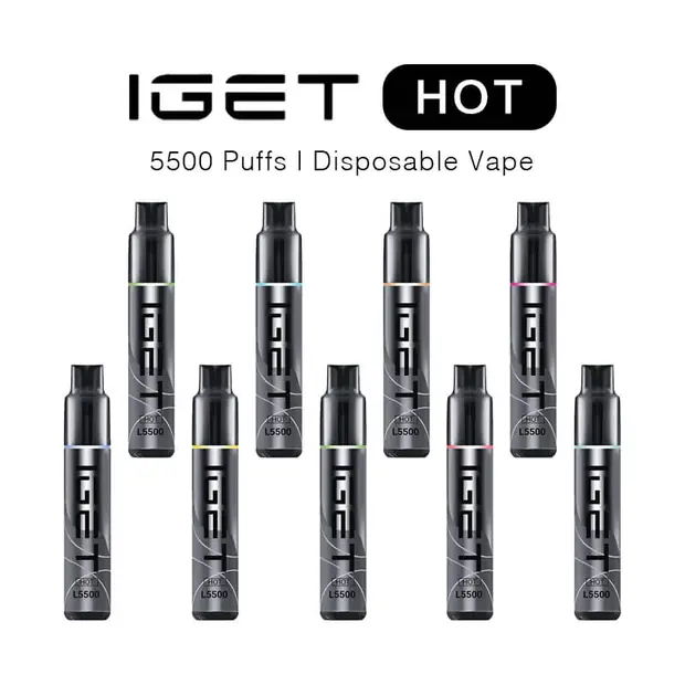 IGET Hot 5500 IGET vape range